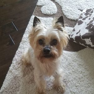 Meet your Posher, Kerry